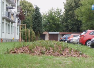 2025.07.17 – ZIELONO Z INPOST