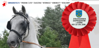 VIII ZLOT FURMANEK W FURMANACH