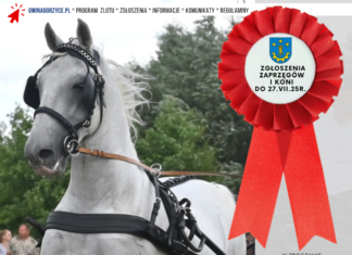 VIII ZLOT FURMANEK W FURMANACH