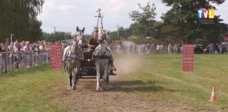 2025.08.03 – FURMANY STOLICĄ FURMANEK