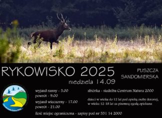 BEZPŁATNY WYJAZD NA RYKOWISKO