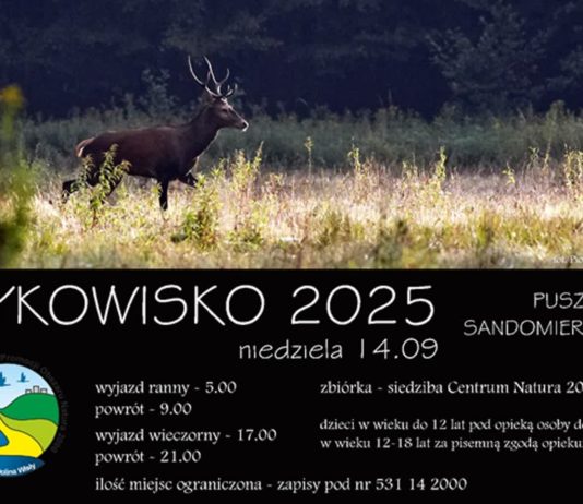 BEZPŁATNY WYJAZD NA RYKOWISKO