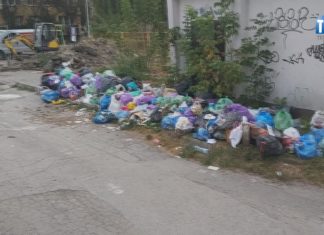 2025.09.04 – ŚMIECIOWY PROBLEM