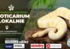TARGI TERRARYSTYCZNE W TARNOBRZEGU – ZAPRASZAMY DO EXOTICARIUM