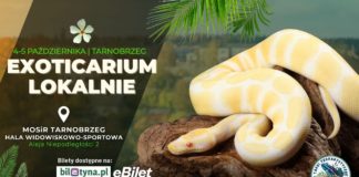 TARGI TERRARYSTYCZNE W TARNOBRZEGU – ZAPRASZAMY DO EXOTICARIUM