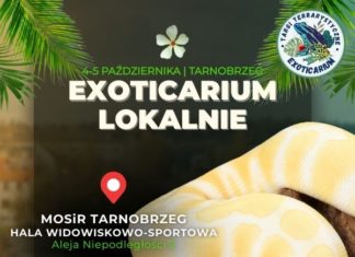 EGZOTYCZNE ZWIERZĘTA Z CAŁEGO ŚWIATA ZAWITAJĄ DO TARNOBRZEGA!