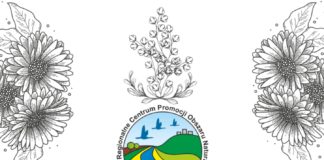 JESIENNA KWIATOWYMIANA W TARNOBRZEGU