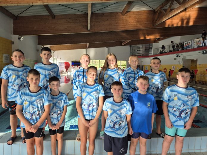 20251004_083635_RFPPOY