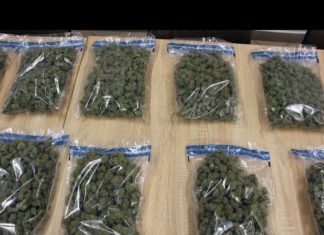 27-LATEK TYMCZASOWO ARESZTOWANY ZA NARKOTYKI