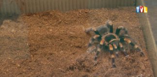 2025.10.05 – TARNOBRZEG W KRÓLESTWIE EGZOTYKI