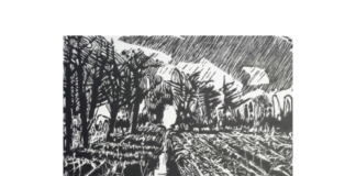 GRZEGORZ GERBA – GRAFIKA