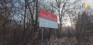 2025.12.17 – SKARGA NIE POSZŁA W LAS