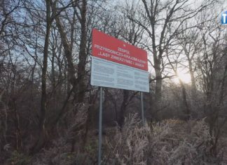 2025.12.17 – SKARGA NIE POSZŁA W LAS