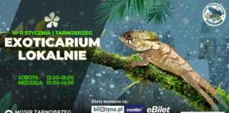 EXOTICARIUM LOKALNIE