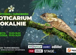 EXOTICARIUM LOKALNIE