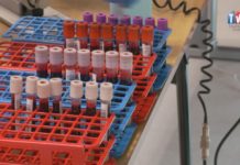 2026.01.12 – KRWAWA SPRAWA