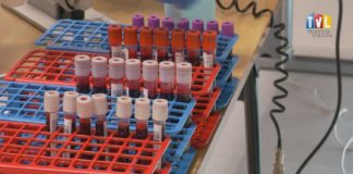 2026.01.12 – KRWAWA SPRAWA