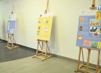 2026.01.14 – “KSIĄŻKOWE” WYSTAWY