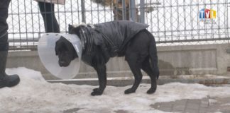 2026.01.28 – POMOC OD CELEBRYTKI