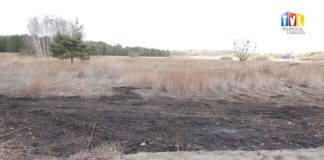 2026.02.23 – KORZYSTNIEJ NIŻ ZAKŁADANO