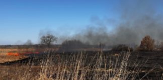 POLICJA APELUJE! NIE WYPALAJ TRAW!