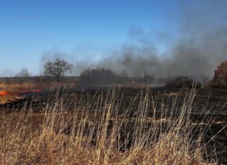 POLICJA APELUJE! NIE WYPALAJ TRAW!
