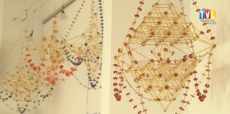 2026.03.17 – OKO W OKO Z PAJĄKIEM