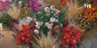 2026.03.22 – NA JARMARKU