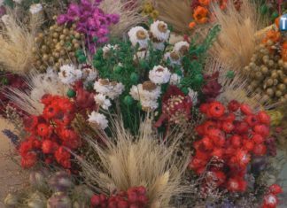 2026.03.22 – NA JARMARKU