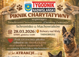PIKNIK CHARYTATYWNY DLA STOWARZYSZENIA “CHROŃMY ZWIERZĘTA”