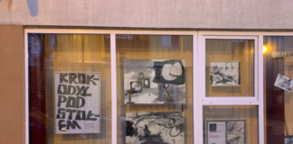 GALERIA OKNO – WYSTAWA MACIEJA BRYSIA PT. “KROKODYL POD STOŁEM”
