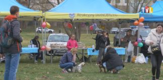 2026.03.28 – ZWIERZĘTA W ROLI GŁÓWNEJ