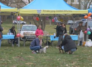 2026.03.28 – ZWIERZĘTA W ROLI GŁÓWNEJ