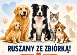 RUSZA ZBIÓRKA KARMY DLA TARNOBRZESKIEGO SCHRONISKA DLA PSÓW I KOTÓW NA MACHOWIE
