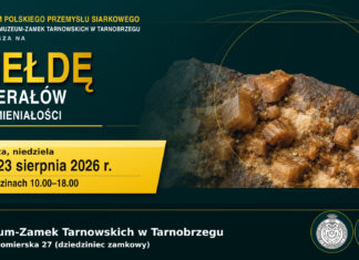 GIEŁDA MINERAŁÓW I SKAMIENIAŁOŚCI