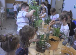 2026.08.10 – GMINA GORZYCE NA PÓŁKOLONIACH