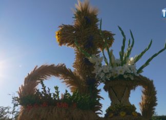 2026.08.15 – DOŻYNKOWE ŚWIĘTOWANIE W TARNOBRZEGU